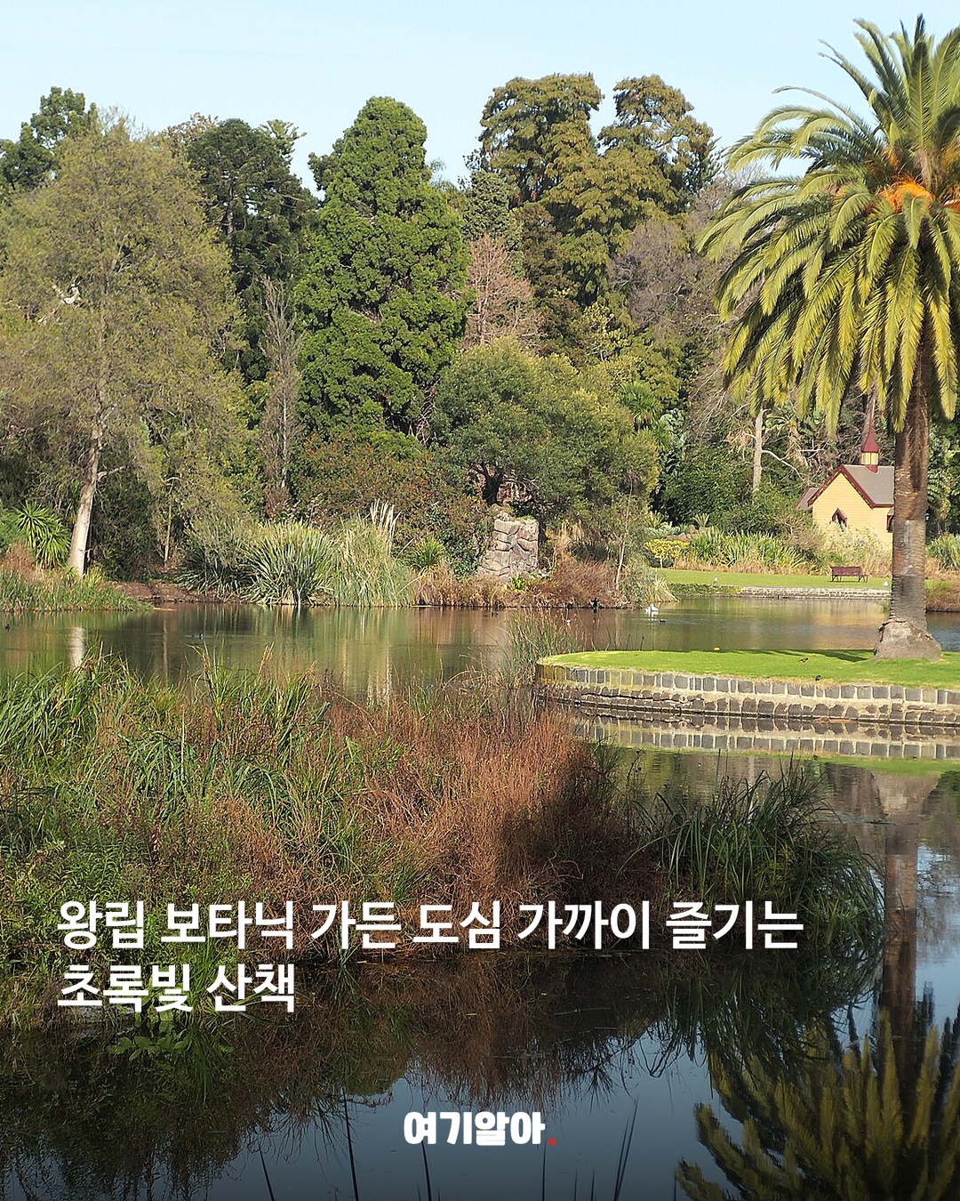 왕립 보타닉 가든