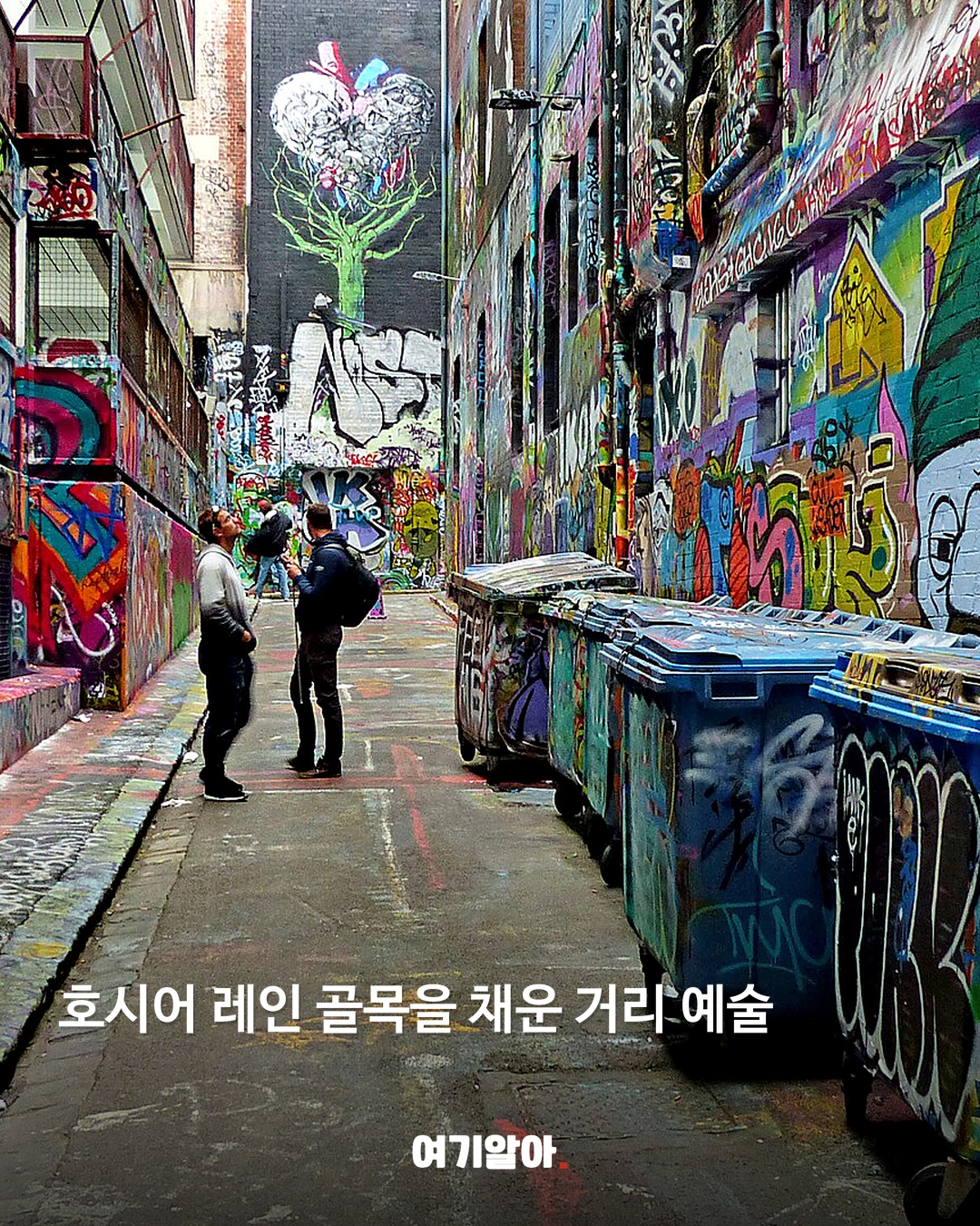 호시어 레인