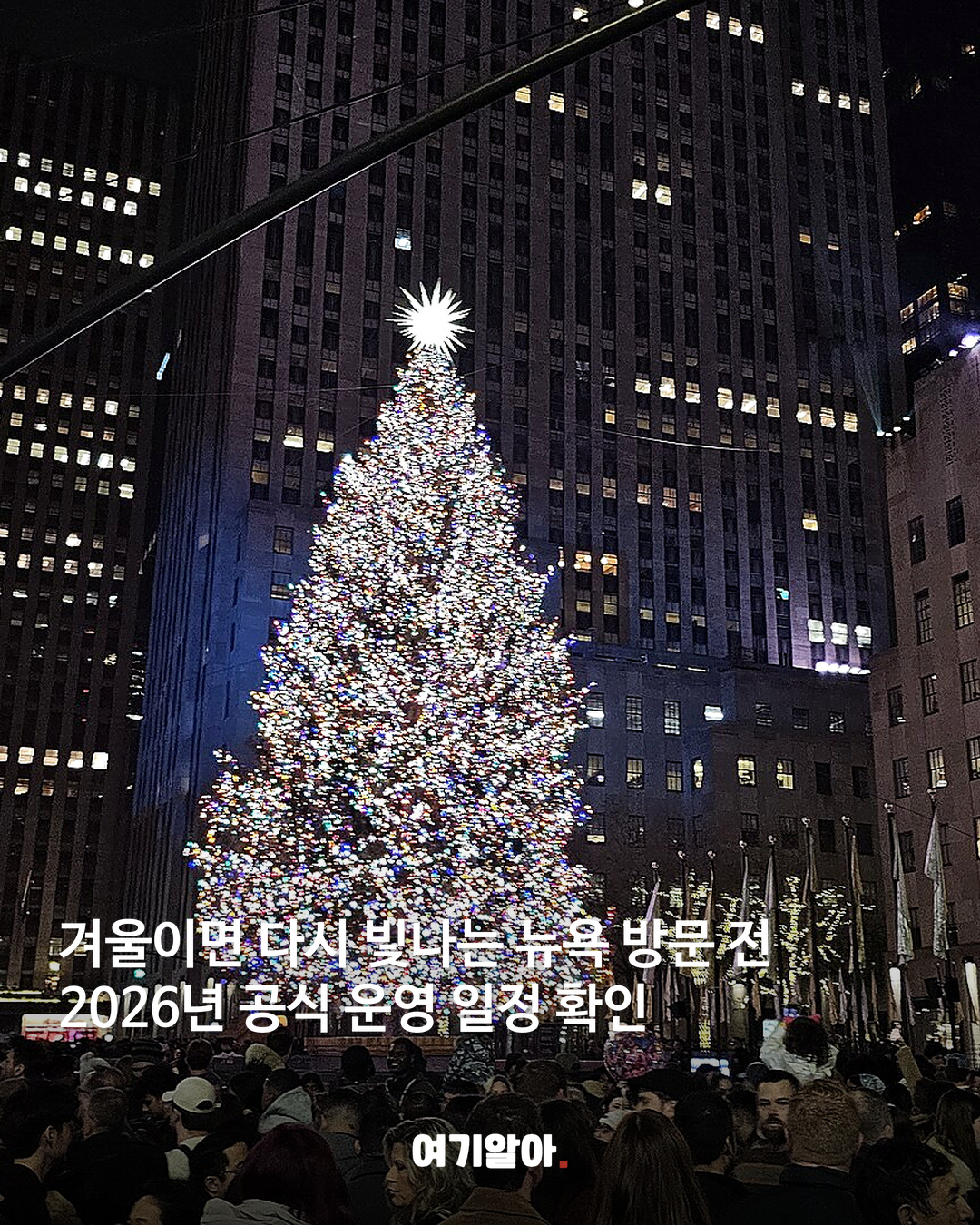 뉴욕 트리 풍경
