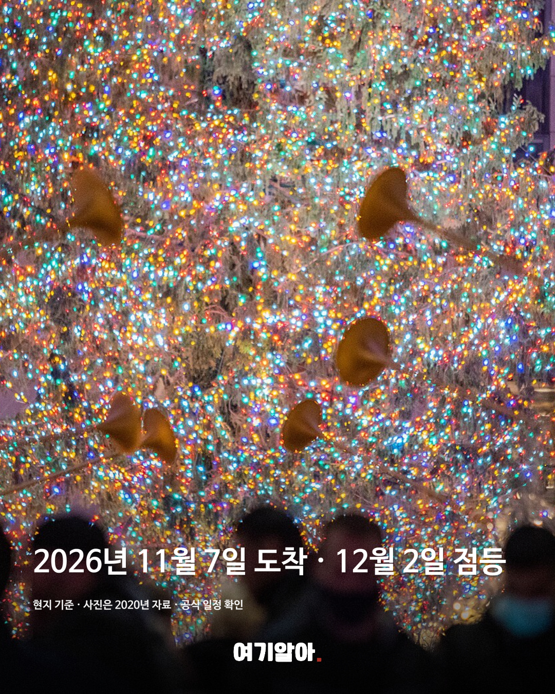 2020년 관람 자료와 공식 2026 일정