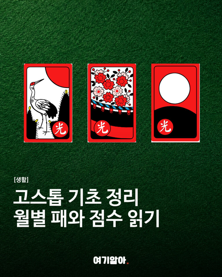 돈을 걸지 않고 즐기는 고스톱 기본 규칙