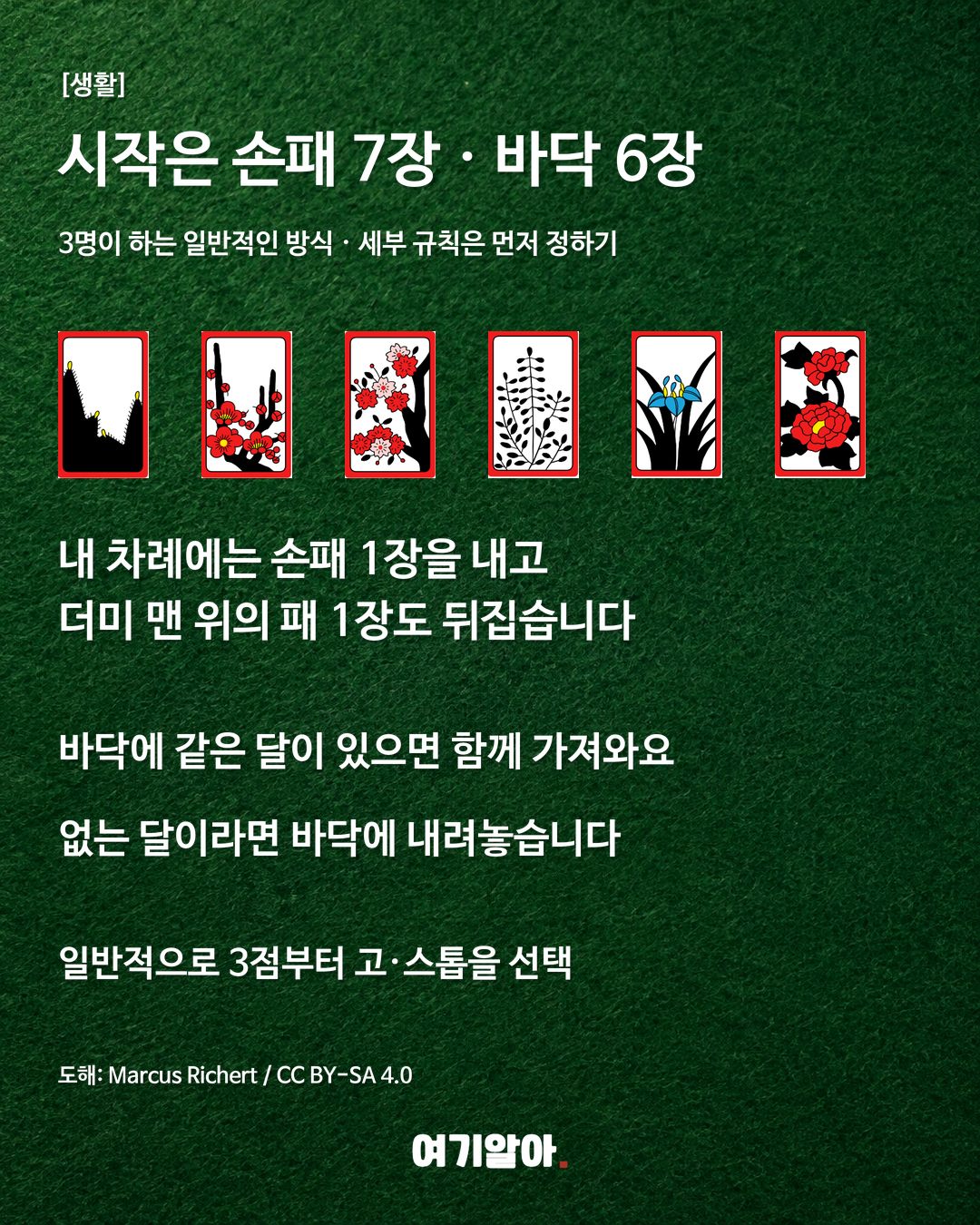 기본 카드와 점수