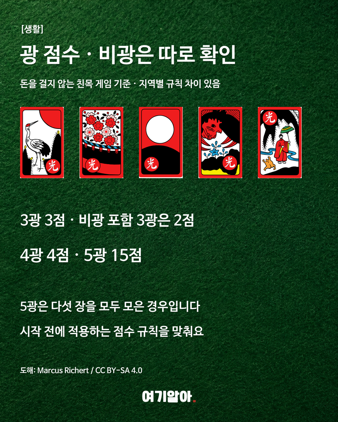 기본 진행 규칙