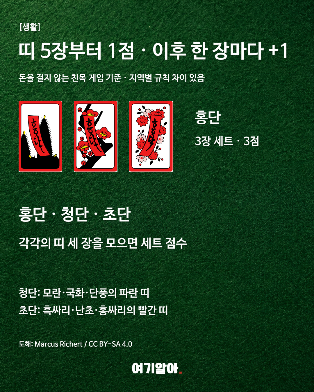 점수 계산 안내
