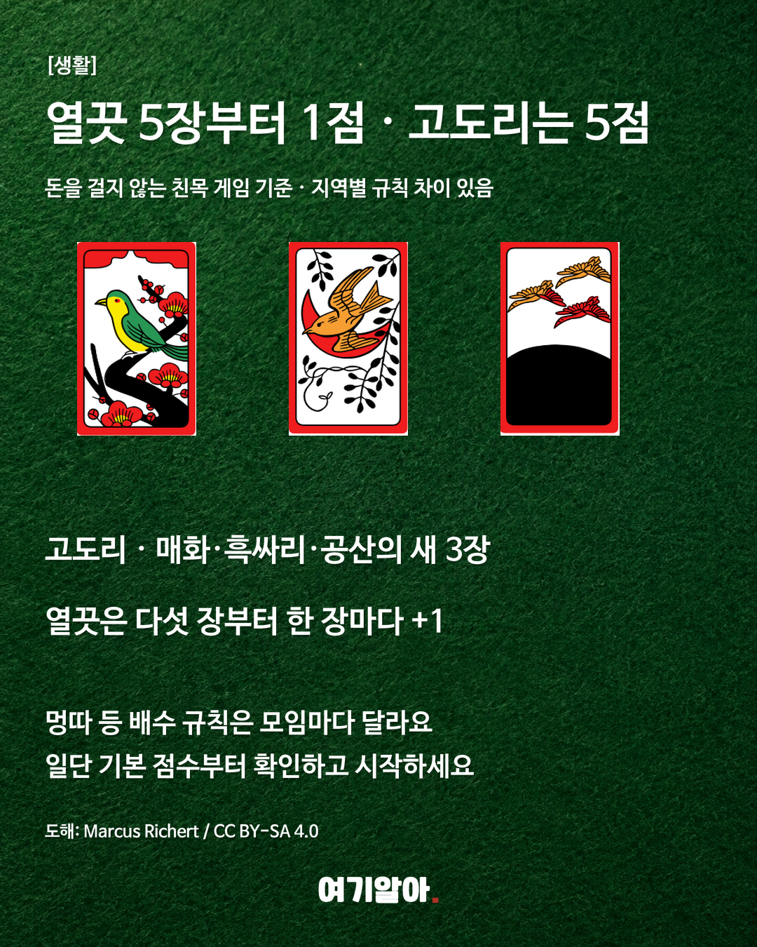 고·스톱의 이해