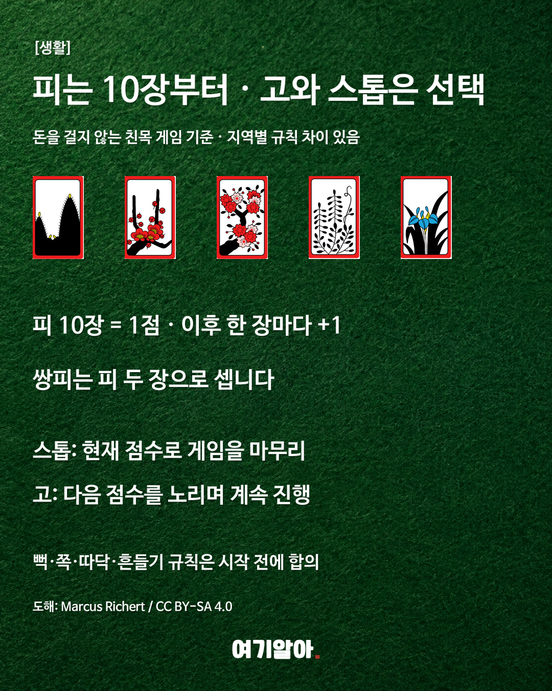 시작 전 맞춰볼 규칙