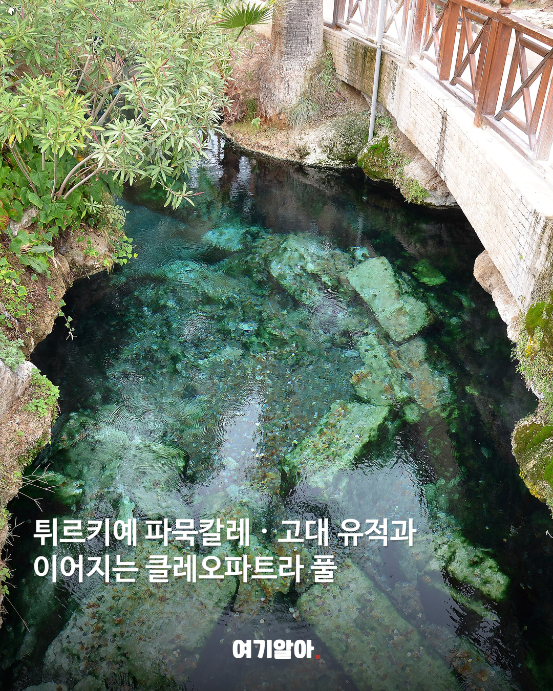 튀르키예 파묵칼레 · 고대 유적과 이어지는 클레오파트라 풀