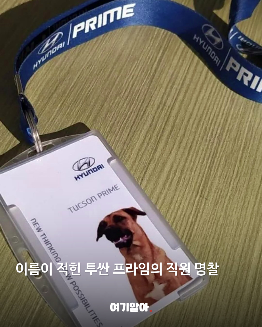이름이 적힌 투싼 프라임의 직원 명찰